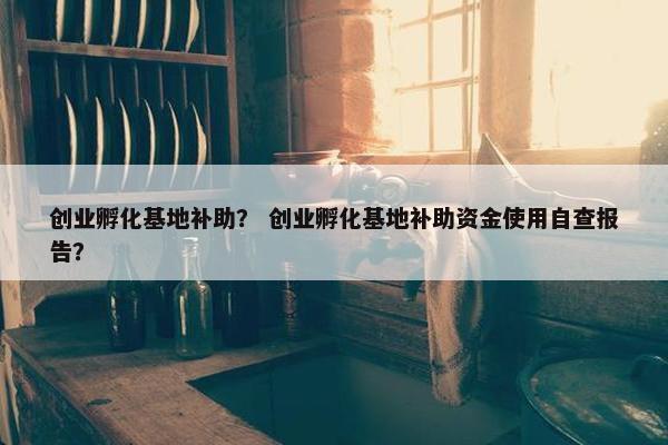 创业孵化基地补助？ 创业孵化基地补助资金使用自查报告？