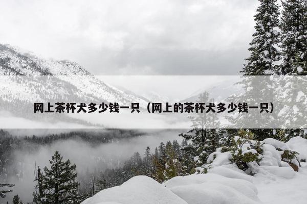 网上茶杯犬多少钱一只（网上的茶杯犬多少钱一只）