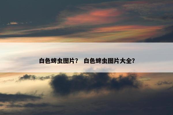 白色蜱虫图片？ 白色蜱虫图片大全？