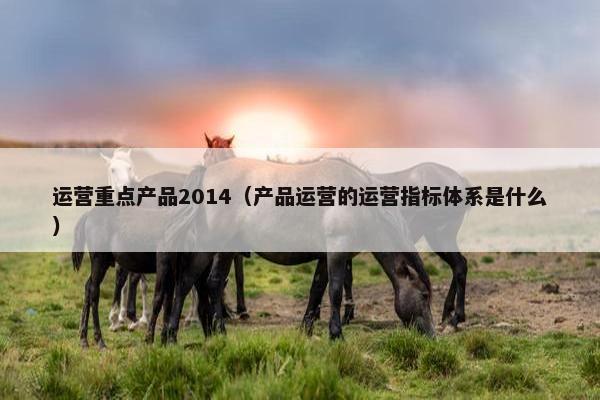 运营重点产品2014（产品运营的运营指标体系是什么）