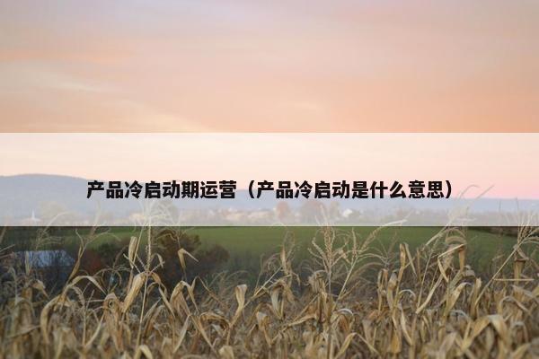 产品冷启动期运营（产品冷启动是什么意思）
