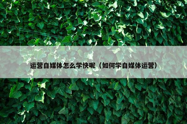 运营自媒体怎么学快呢（如何学自媒体运营）