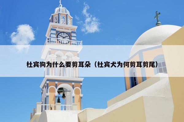 杜宾狗为什么要剪耳朵（杜宾犬为何剪耳剪尾）