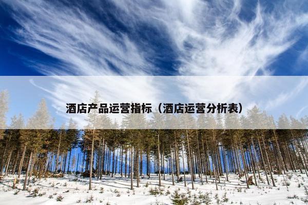 酒店产品运营指标（酒店运营分析表）