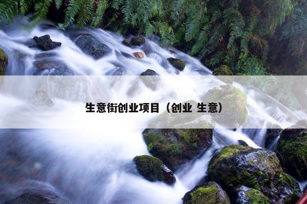 生意街创业项目（创业 生意）