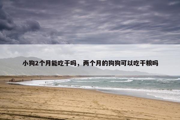小狗2个月能吃干吗，两个月的狗狗可以吃干粮吗