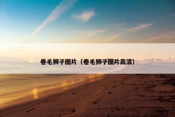 卷毛狮子图片（卷毛狮子图片高清）