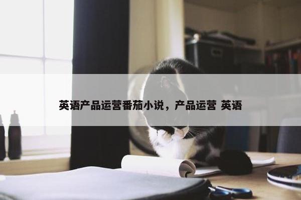 英语产品运营番茄小说，产品运营 英语