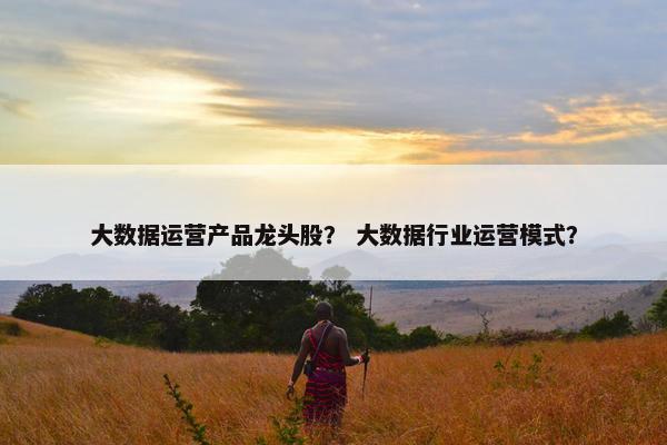 大数据运营产品龙头股？ 大数据行业运营模式？