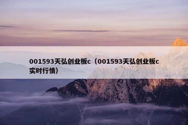 001593天弘创业板c（001593天弘创业板c实时行情）