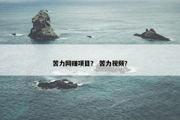 苦力网赚项目？ 苦力视频？