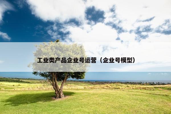 工业类产品企业号运营（企业号模型）