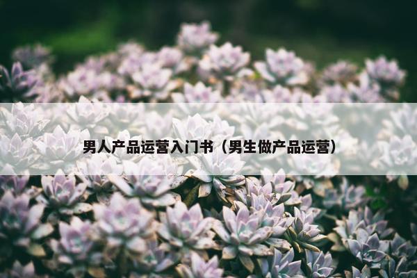 男人产品运营入门书（男生做产品运营）