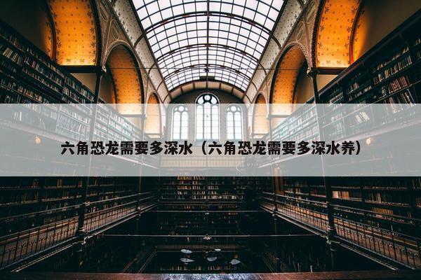 六角恐龙需要多深水（六角恐龙需要多深水养）
