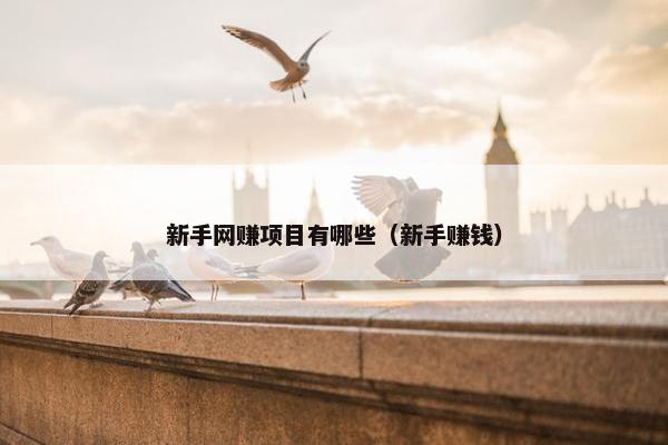 新手网赚项目有哪些（新手赚钱）
