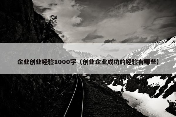 企业创业经验1000字（创业企业成功的经验有哪些）