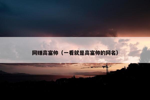 网赚高富帅（一看就是高富帅的网名）