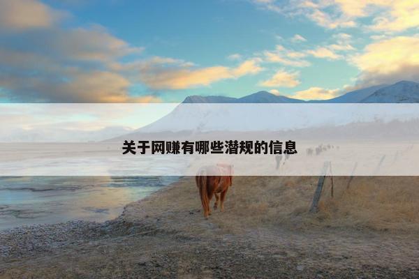 关于网赚有哪些潜规的信息