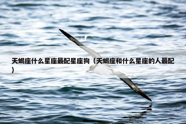 天蝎座什么星座最配星座狗（天蝎座和什么星座的人最配）