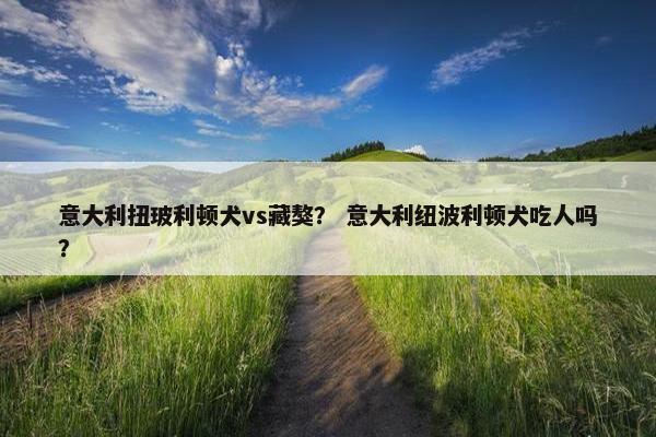 意大利扭玻利顿犬vs藏獒？ 意大利纽波利顿犬吃人吗？
