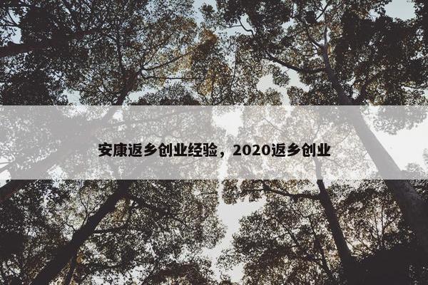 安康返乡创业经验，2020返乡创业