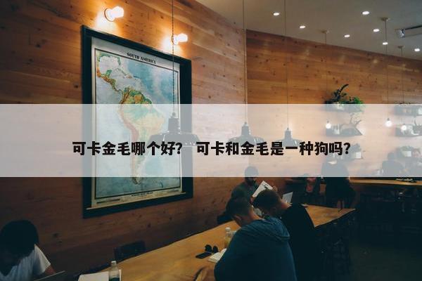 可卡金毛哪个好？ 可卡和金毛是一种狗吗？