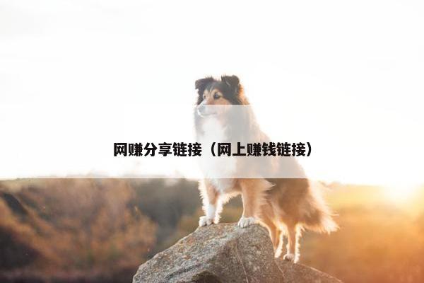 网赚分享链接（网上赚钱链接）