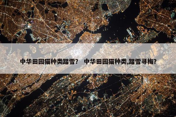中华田园猫种类踏雪？ 中华田园猫种类,踏雪寻梅？