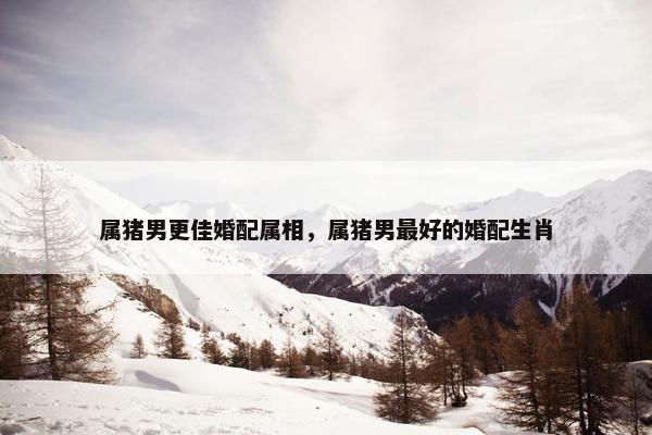 属猪男更佳婚配属相，属猪男最好的婚配生肖
