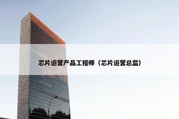 芯片运营产品工程师（芯片运营总监）