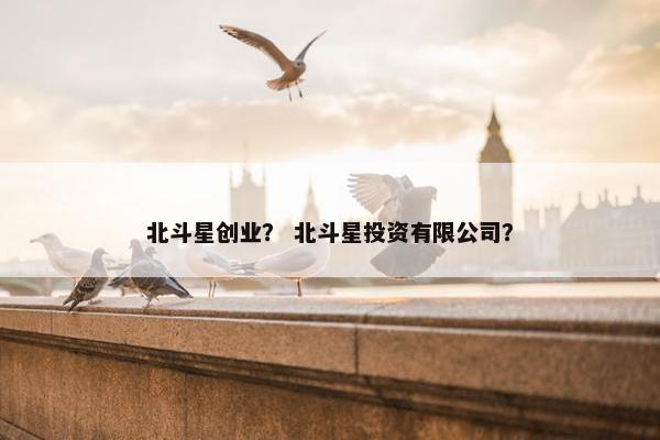 北斗星创业？ 北斗星投资有限公司？