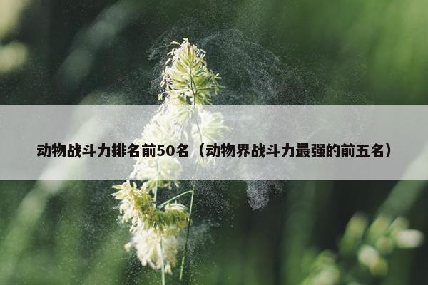 动物战斗力排名前50名（动物界战斗力最强的前五名）