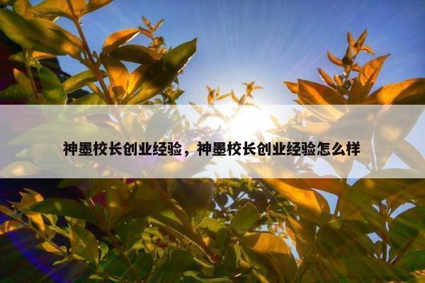 神墨校长创业经验，神墨校长创业经验怎么样