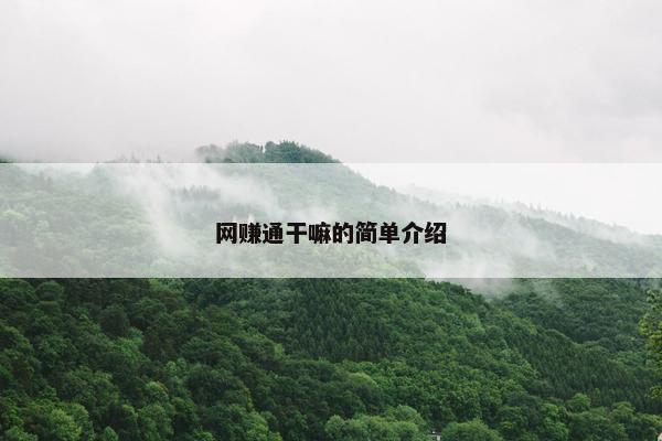 网赚通干嘛的简单介绍