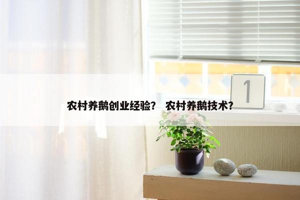 农村养鹅创业经验？ 农村养鹅技术？