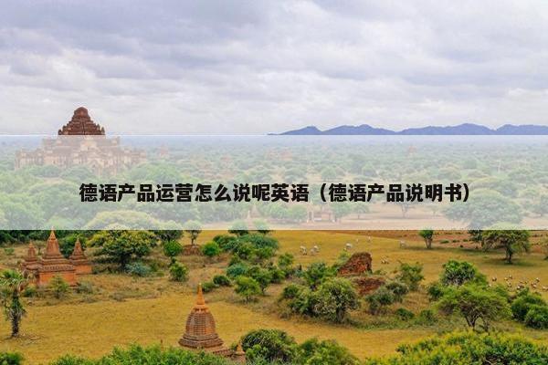 德语产品运营怎么说呢英语（德语产品说明书）