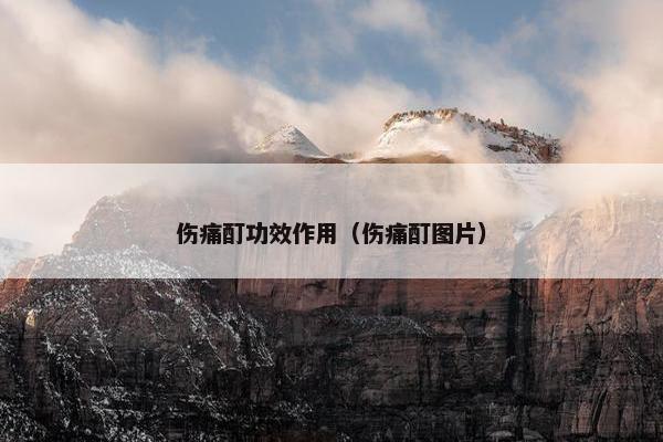 伤痛酊功效作用（伤痛酊图片）