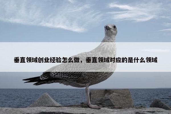 垂直领域创业经验怎么做，垂直领域对应的是什么领域