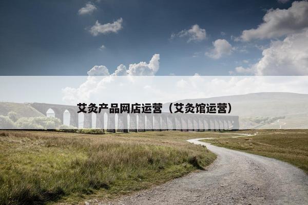 艾灸产品网店运营（艾灸馆运营）