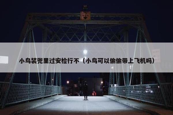 小鸟装兜里过安检行不（小鸟可以偷偷带上飞机吗）