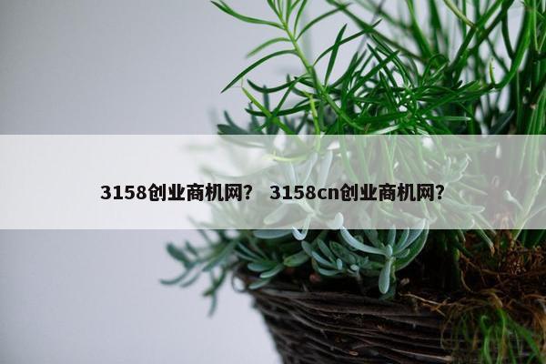 3158创业商机网？ 3158cn创业商机网？