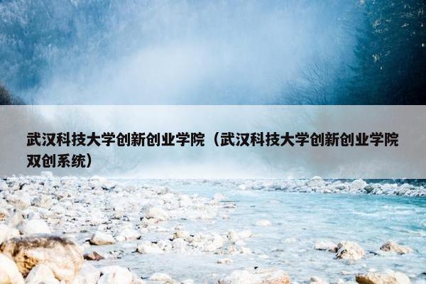 武汉科技大学创新创业学院（武汉科技大学创新创业学院双创系统）