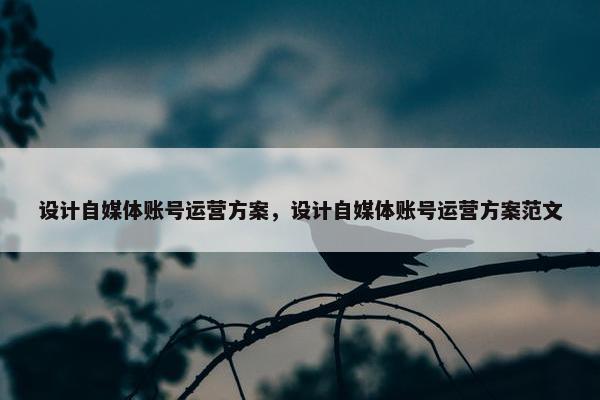 设计自媒体账号运营方案，设计自媒体账号运营方案范文
