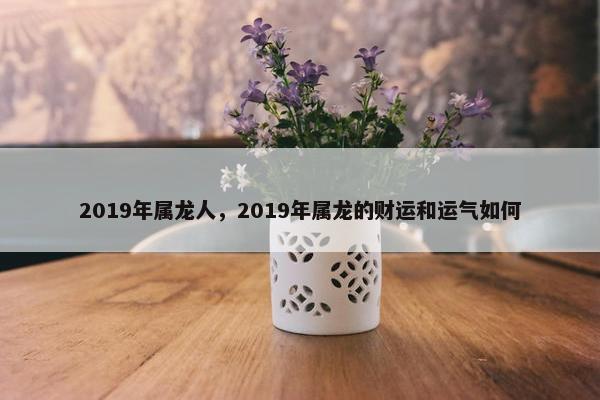 2019年属龙人，2019年属龙的财运和运气如何