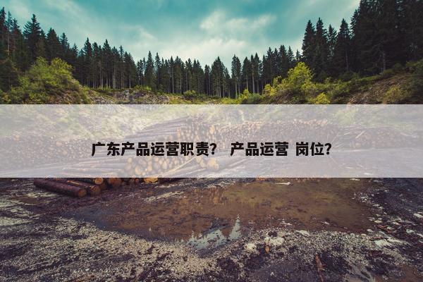 广东产品运营职责？ 产品运营 岗位？