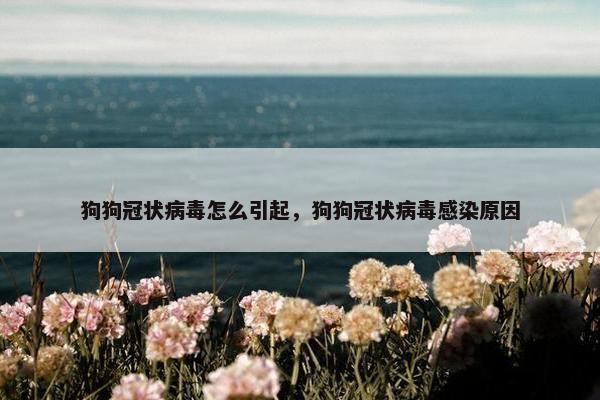狗狗冠状病毒怎么引起，狗狗冠状病毒感染原因