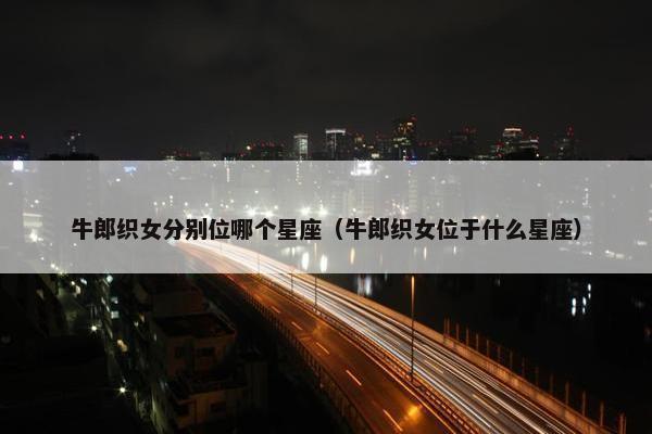 牛郎织女分别位哪个星座（牛郎织女位于什么星座）