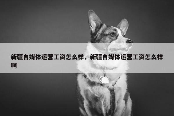 新疆自媒体运营工资怎么样，新疆自媒体运营工资怎么样啊