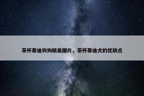 茶杯泰迪狗狗精美图片，茶杯泰迪犬的优缺点