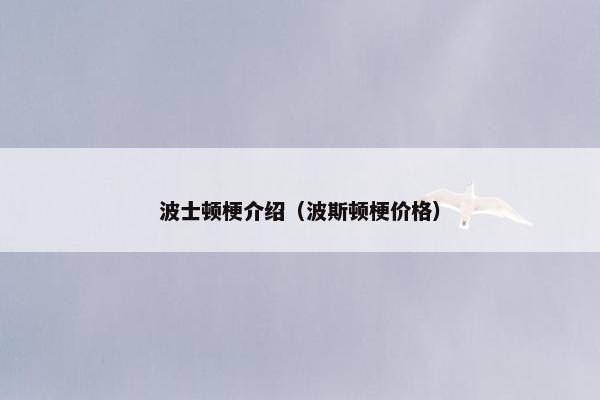 波士顿梗介绍（波斯顿梗价格）